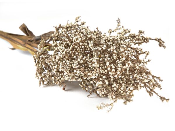 Kvist-Artificial Plants - Image 2