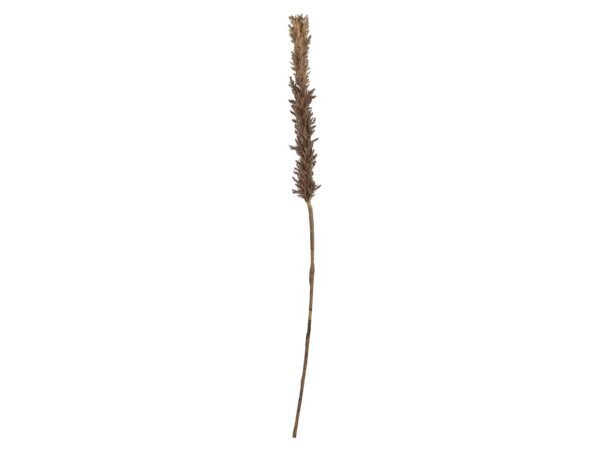 Kvist-Artificial Plants - Image 3