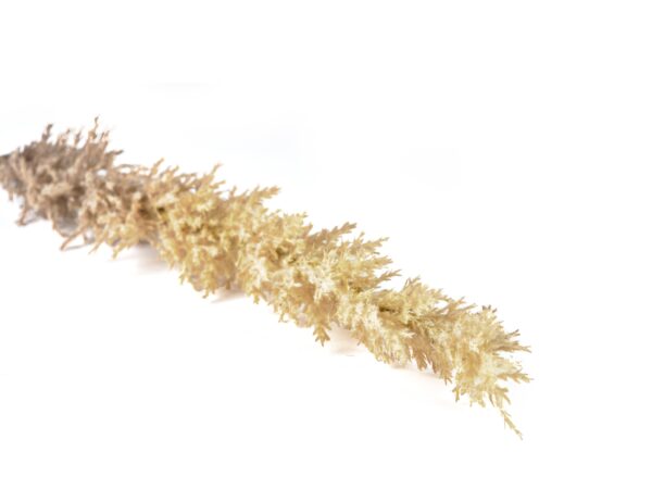 Kvist-Artificial Plants - Image 2