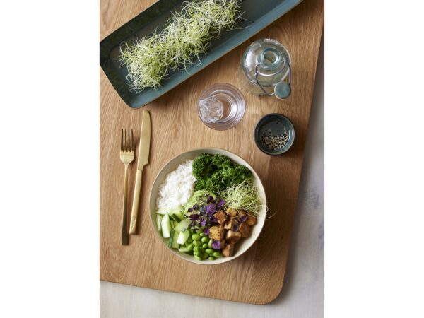 Forest-Dishes - Image 5