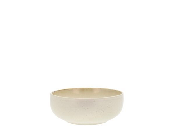 Gastro-Bowls