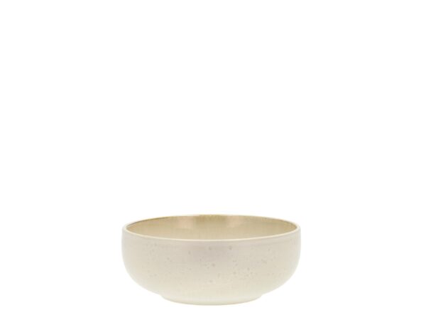 Gastro-Bowls