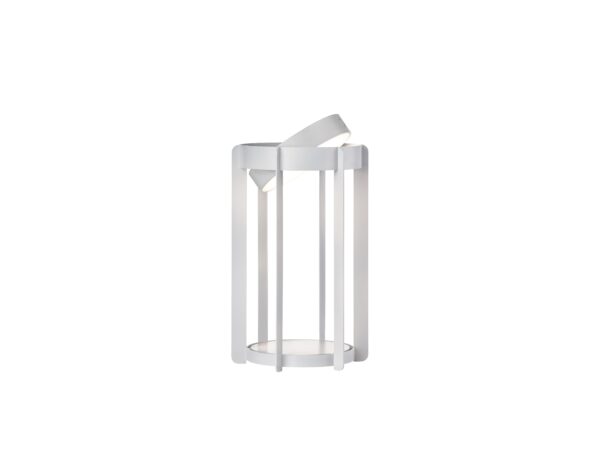 Firefly-Lanterns - Image 3