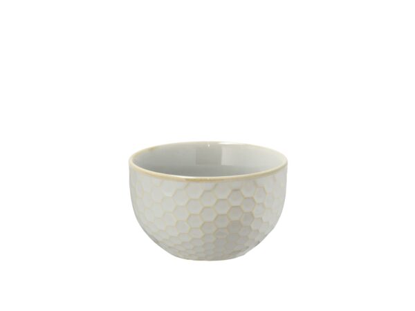 Elstra-Bowls - Image 4