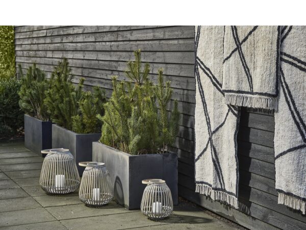 Amas-Lanterns - Image 2