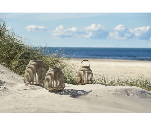 Amas-Lanterns - Image 4