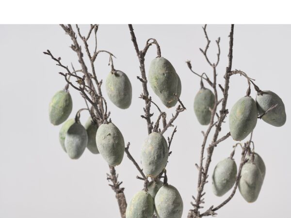 Kvist-Artificial Plants - Image 2