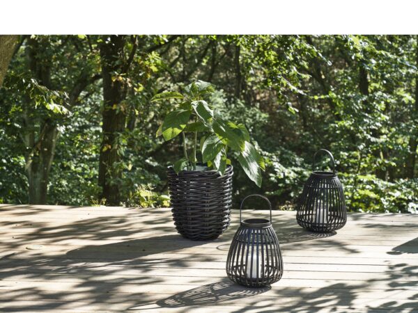 Asra-Lanterns - Image 3