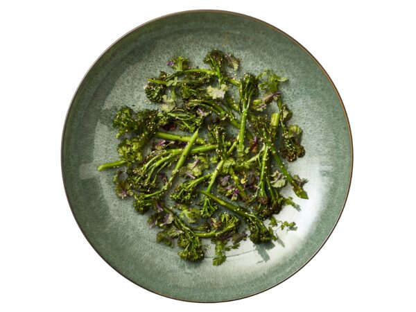 Gastro-Dishes - Image 3