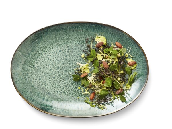 Gastro-Dishes - Image 5