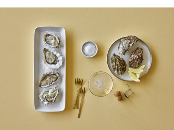 Gastro-Plates - Image 4