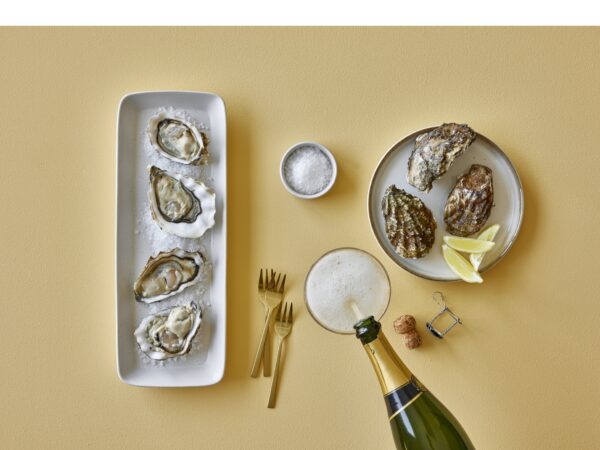 Gastro-Plates - Image 5
