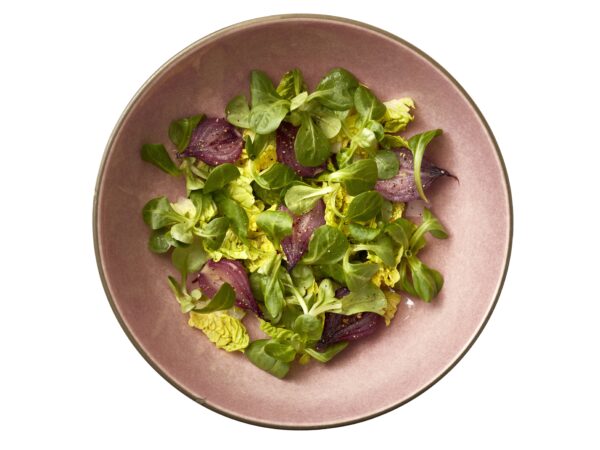 Gastro-Bowls - Image 4
