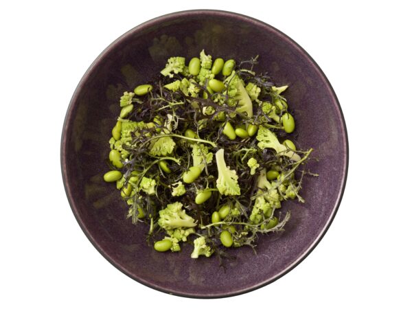 Gastro-Bowls - Image 4