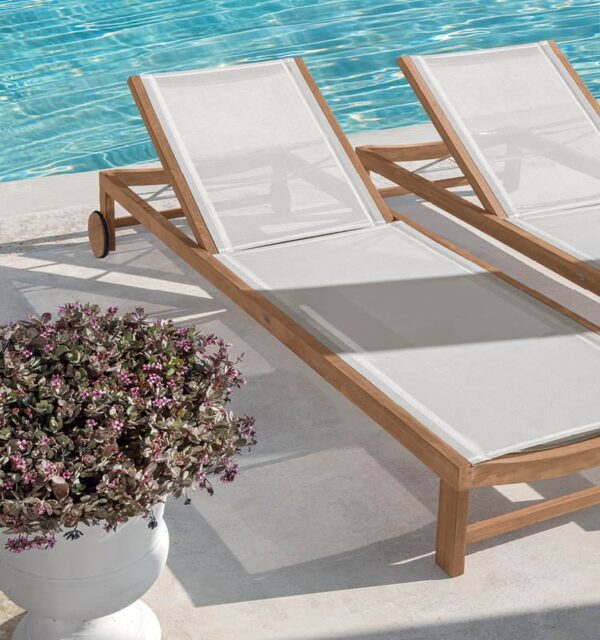 Sand-Sun Beds