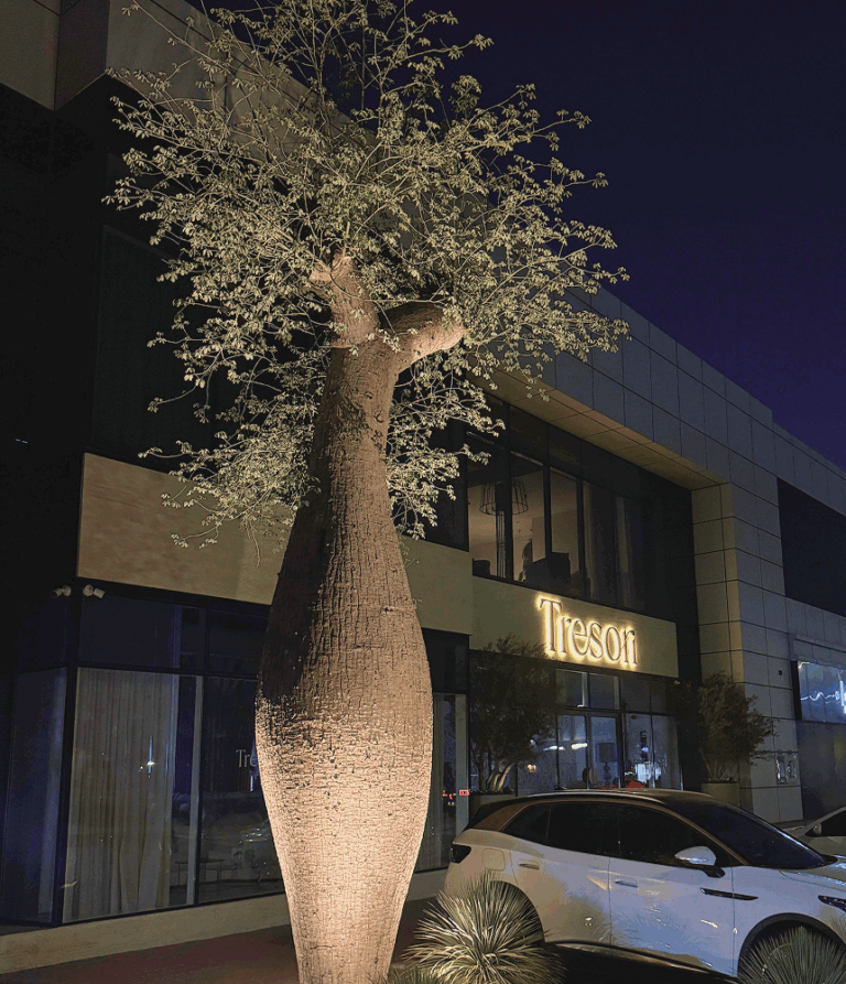 about Tresori Concept store showroom from out side